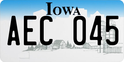 IA license plate AEC045