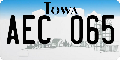 IA license plate AEC065