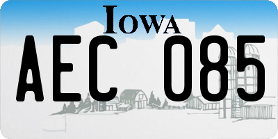 IA license plate AEC085