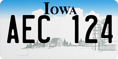 IA license plate AEC124
