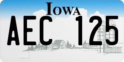 IA license plate AEC125