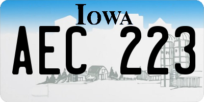 IA license plate AEC223