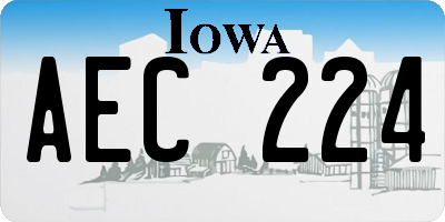 IA license plate AEC224