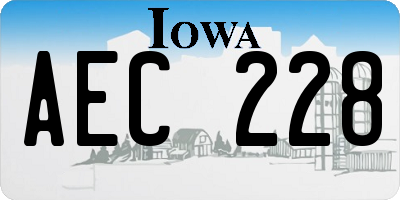 IA license plate AEC228