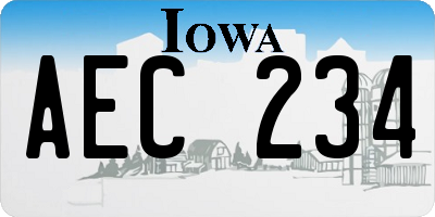 IA license plate AEC234