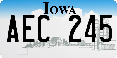 IA license plate AEC245