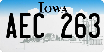IA license plate AEC263