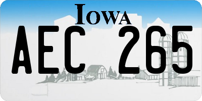 IA license plate AEC265