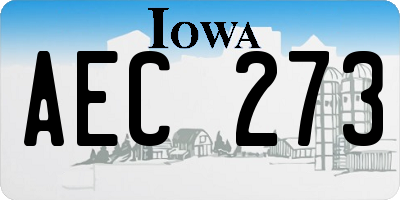 IA license plate AEC273