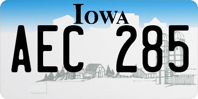 IA license plate AEC285