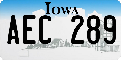 IA license plate AEC289