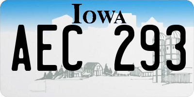 IA license plate AEC293