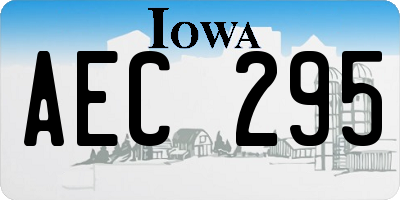 IA license plate AEC295