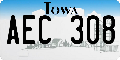 IA license plate AEC308