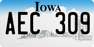 IA license plate AEC309