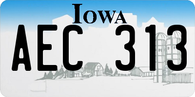 IA license plate AEC313