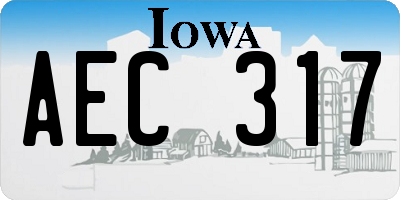 IA license plate AEC317