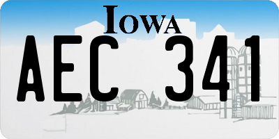 IA license plate AEC341