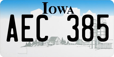 IA license plate AEC385