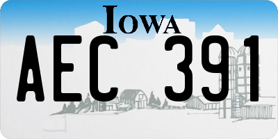 IA license plate AEC391