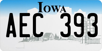 IA license plate AEC393