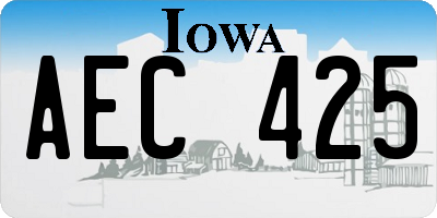 IA license plate AEC425