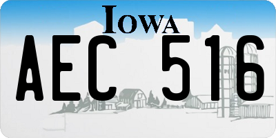 IA license plate AEC516
