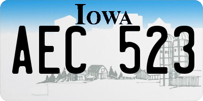 IA license plate AEC523
