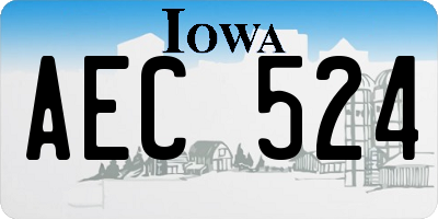 IA license plate AEC524