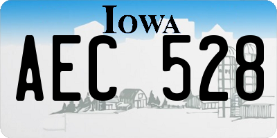 IA license plate AEC528