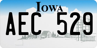 IA license plate AEC529