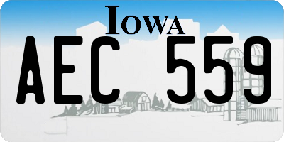 IA license plate AEC559