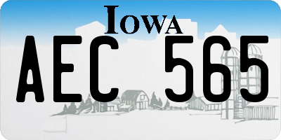 IA license plate AEC565