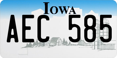 IA license plate AEC585