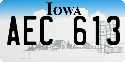IA license plate AEC613