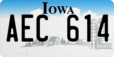 IA license plate AEC614