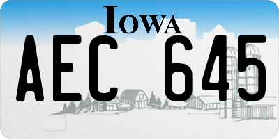 IA license plate AEC645