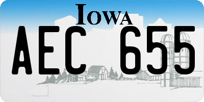 IA license plate AEC655