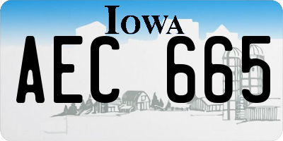 IA license plate AEC665