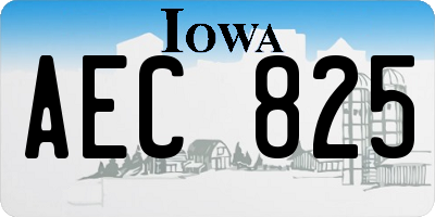 IA license plate AEC825