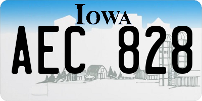 IA license plate AEC828