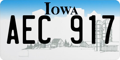 IA license plate AEC917