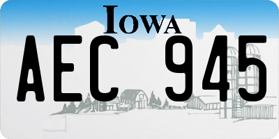 IA license plate AEC945