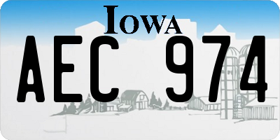 IA license plate AEC974