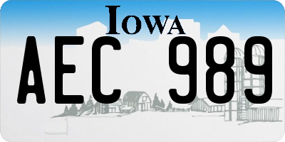 IA license plate AEC989