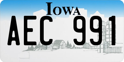 IA license plate AEC991
