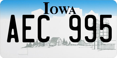 IA license plate AEC995