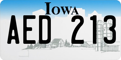 IA license plate AED213