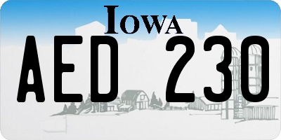 IA license plate AED230