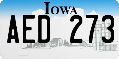 IA license plate AED273